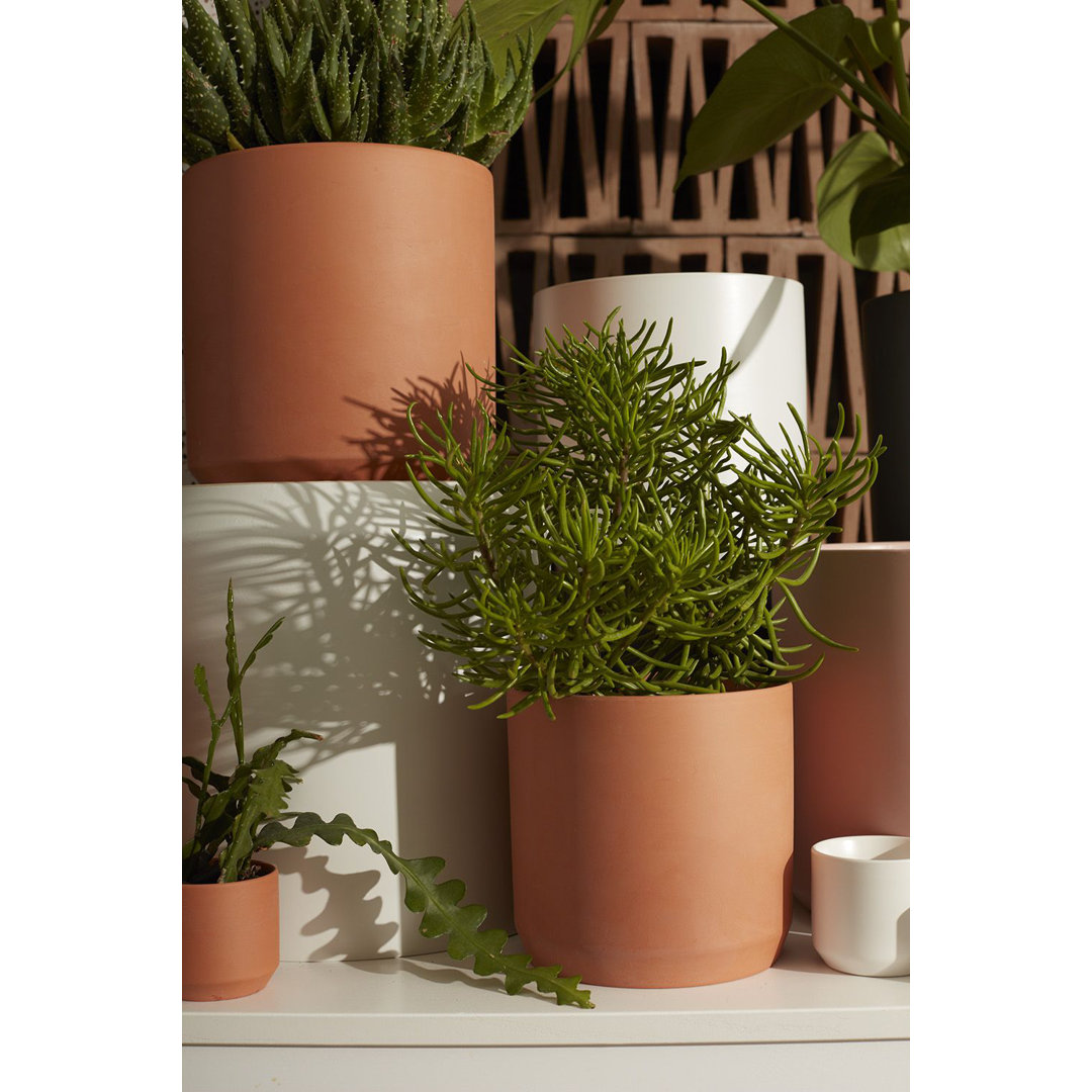 Parsons Ceramic Pot Planter